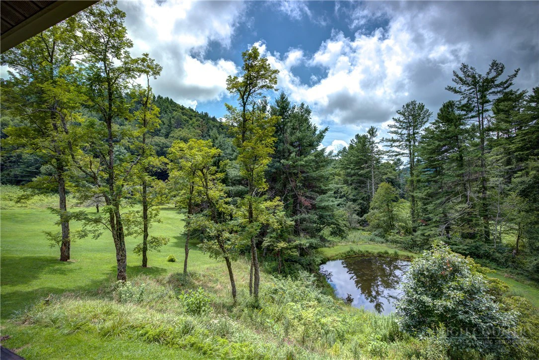 Image number 11 for the current listing