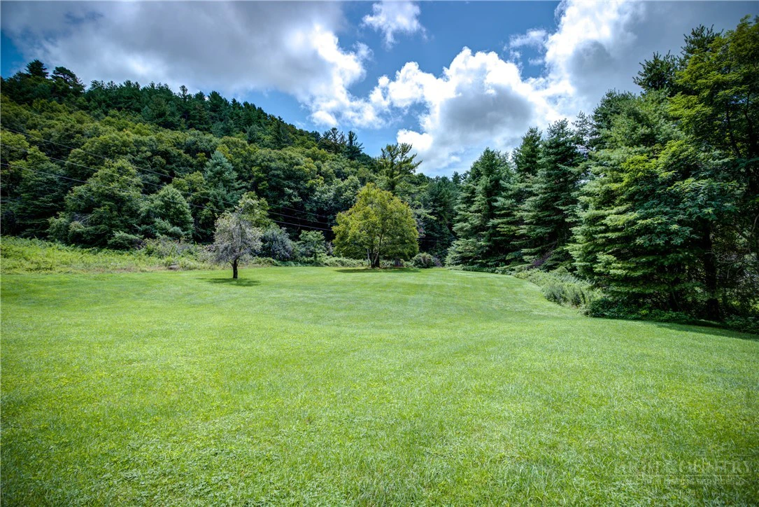 Image number 15 for the current listing