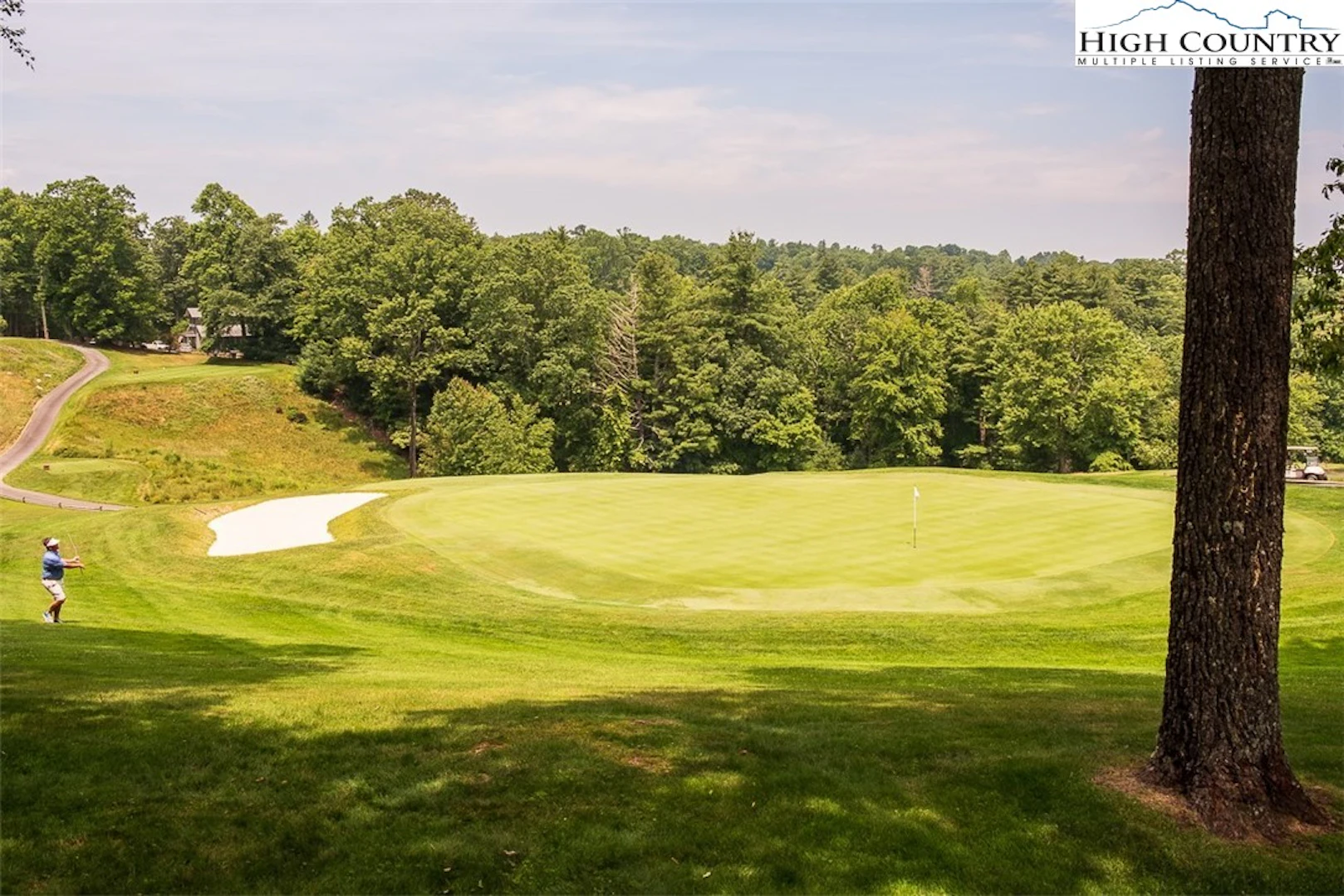 Image number 1 for the current listing
