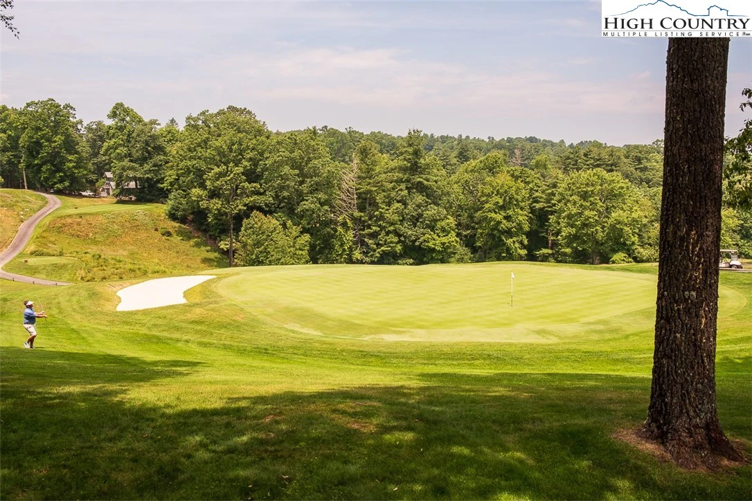 Image number 1 for the current listing