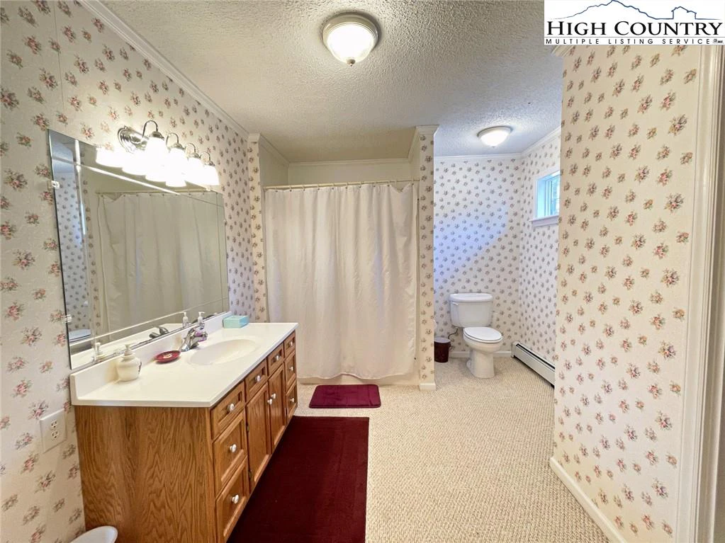 Image number 2 for the current listing