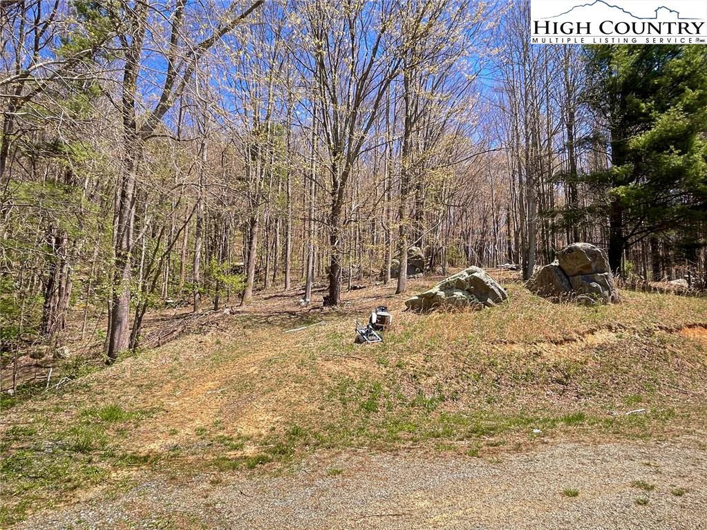Image number 15 for the current listing