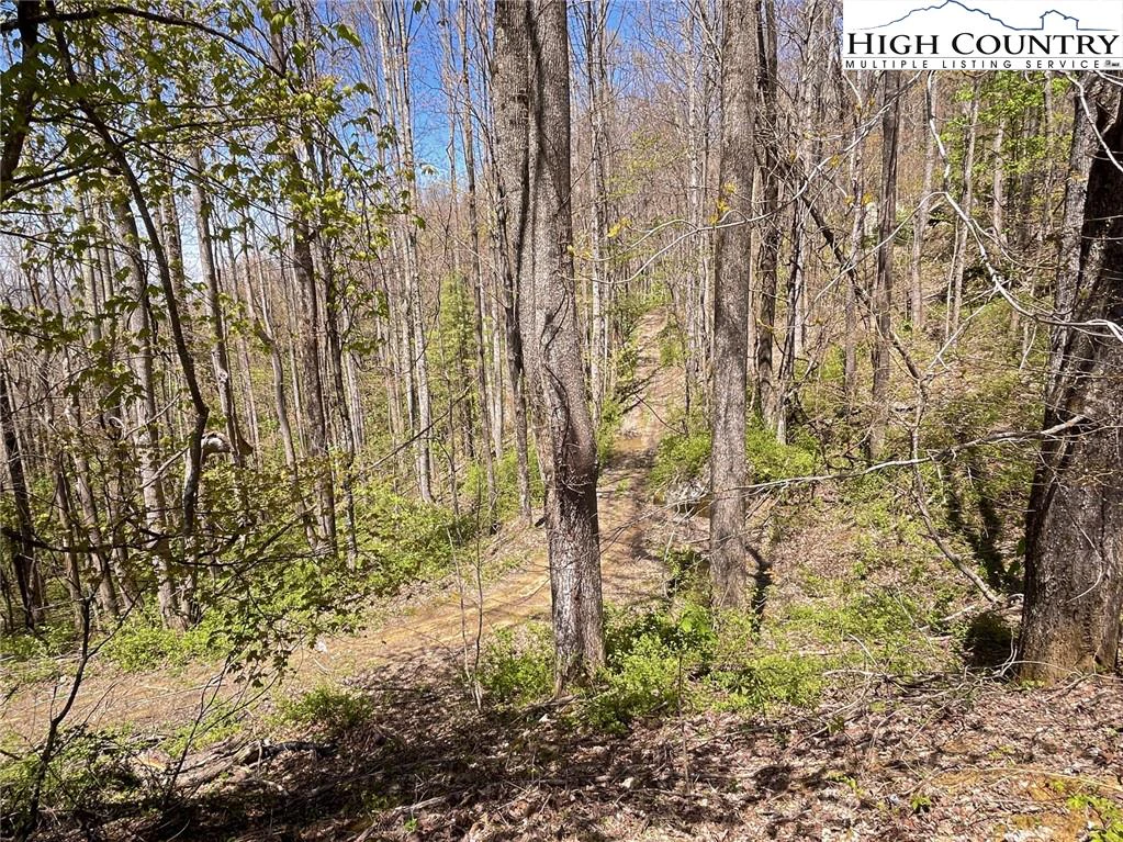 Image number 16 for the current listing