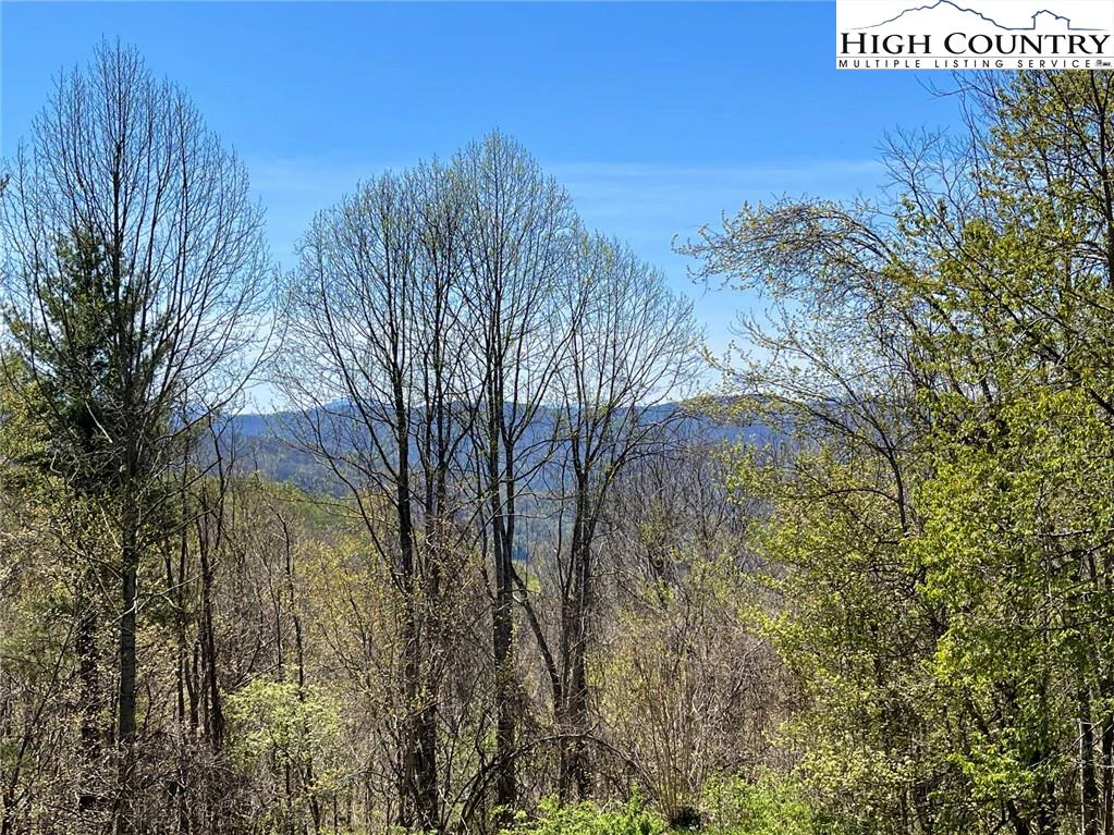 Image number 17 for the current listing