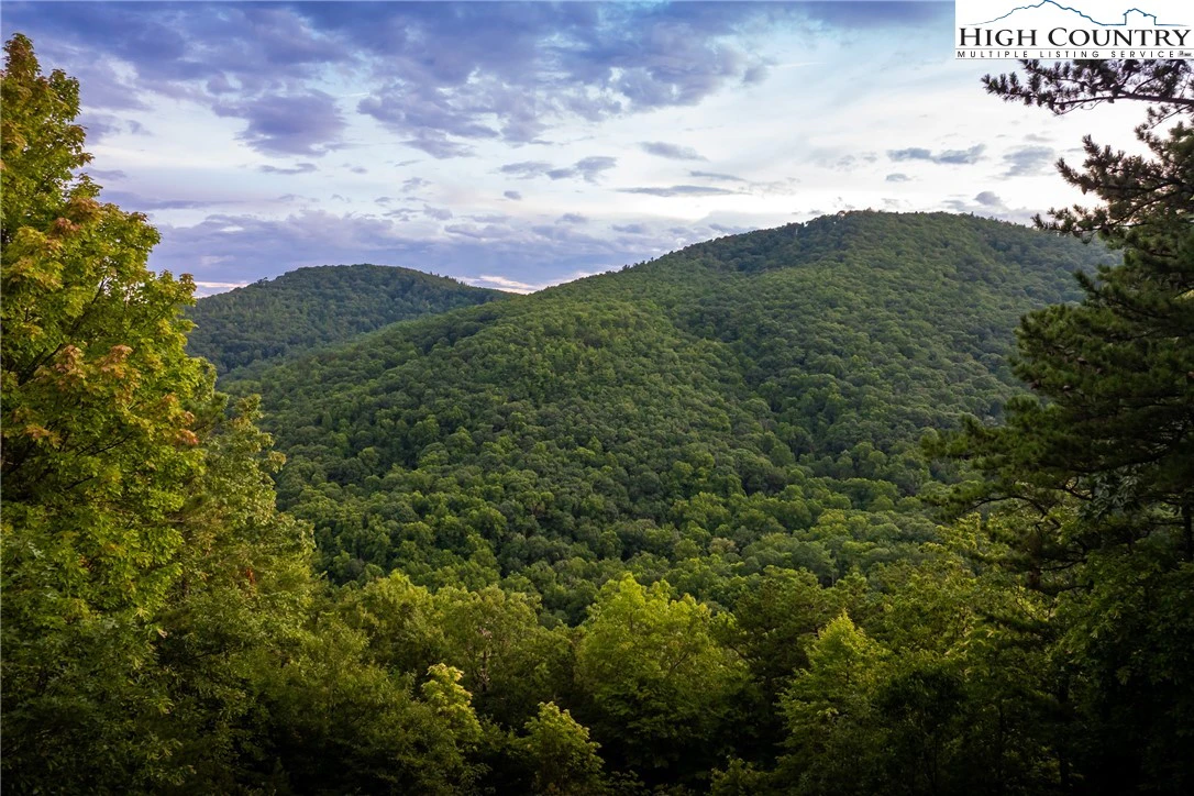 Image number 1 for the current listing