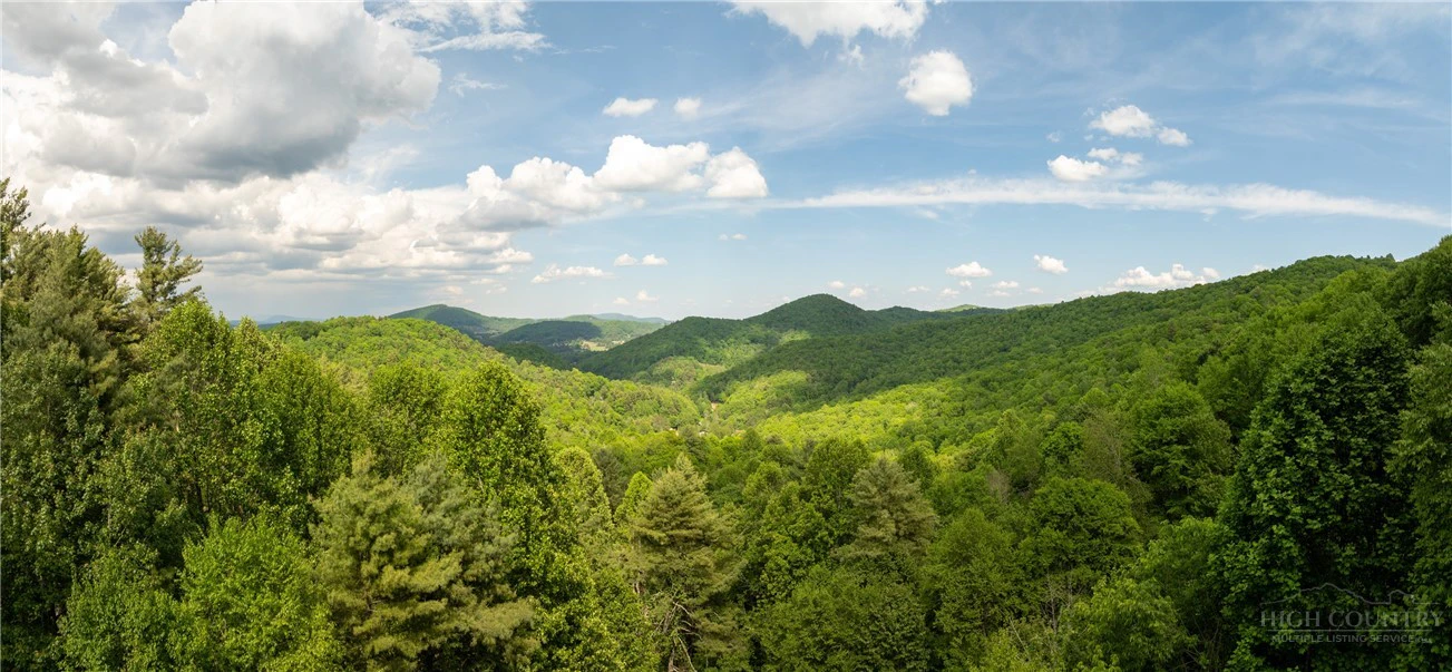 Image number 2 for the current listing