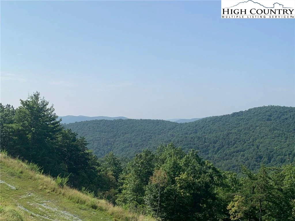 Image number 1 for the current listing