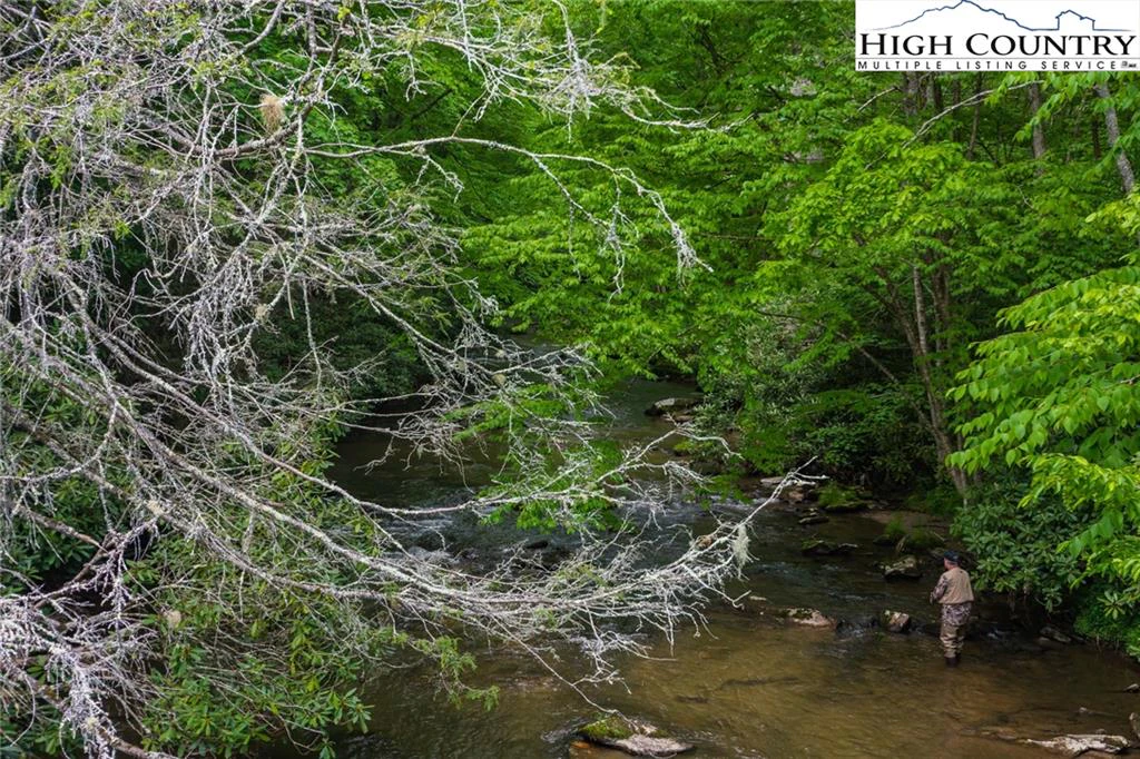 Image number 13 for the current listing