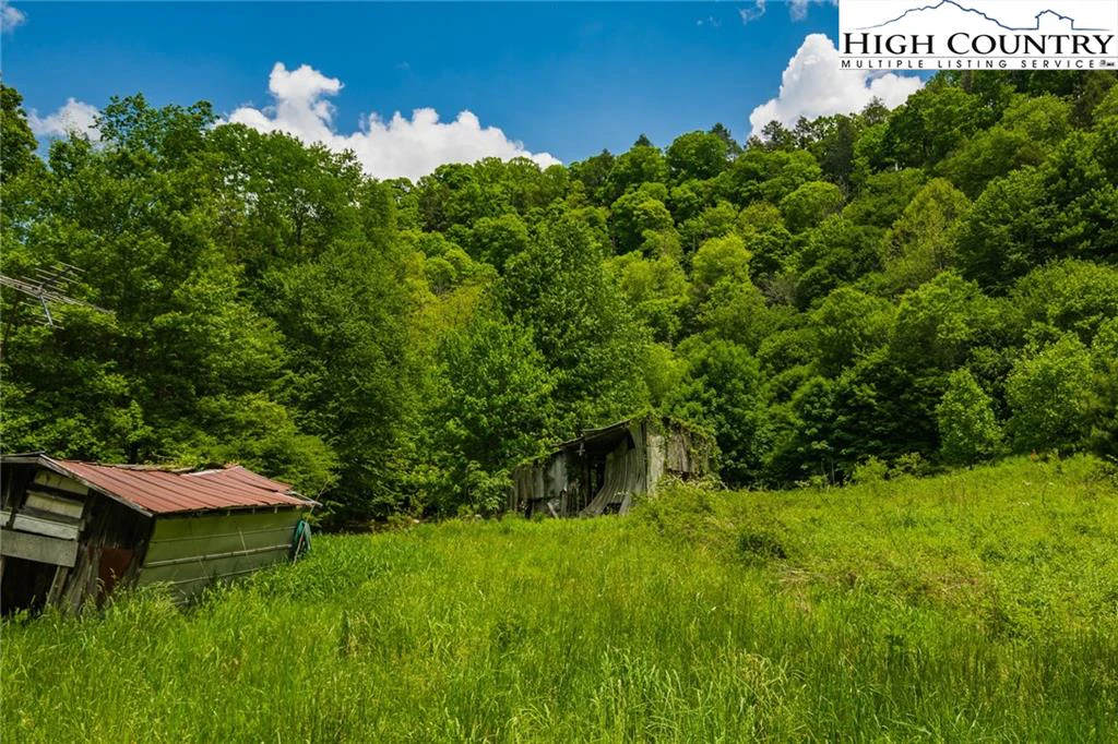 Image number 10 for the current listing
