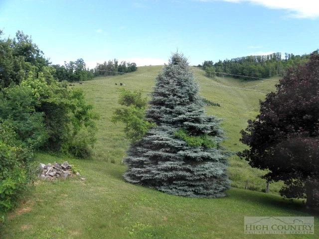 Image number 13 for the current listing