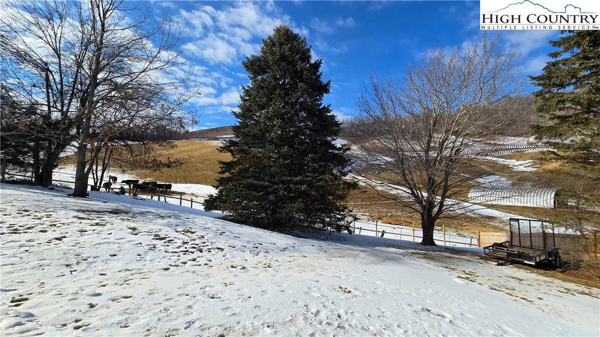 Image number 18 for the current listing