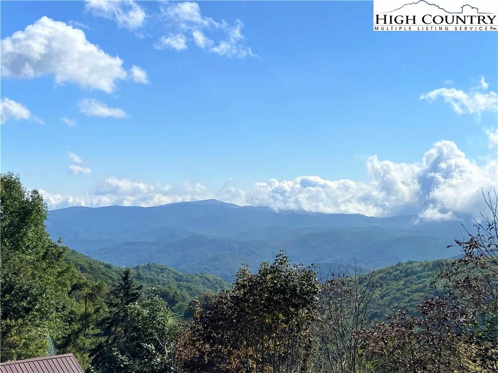 Image number 1 for the current listing