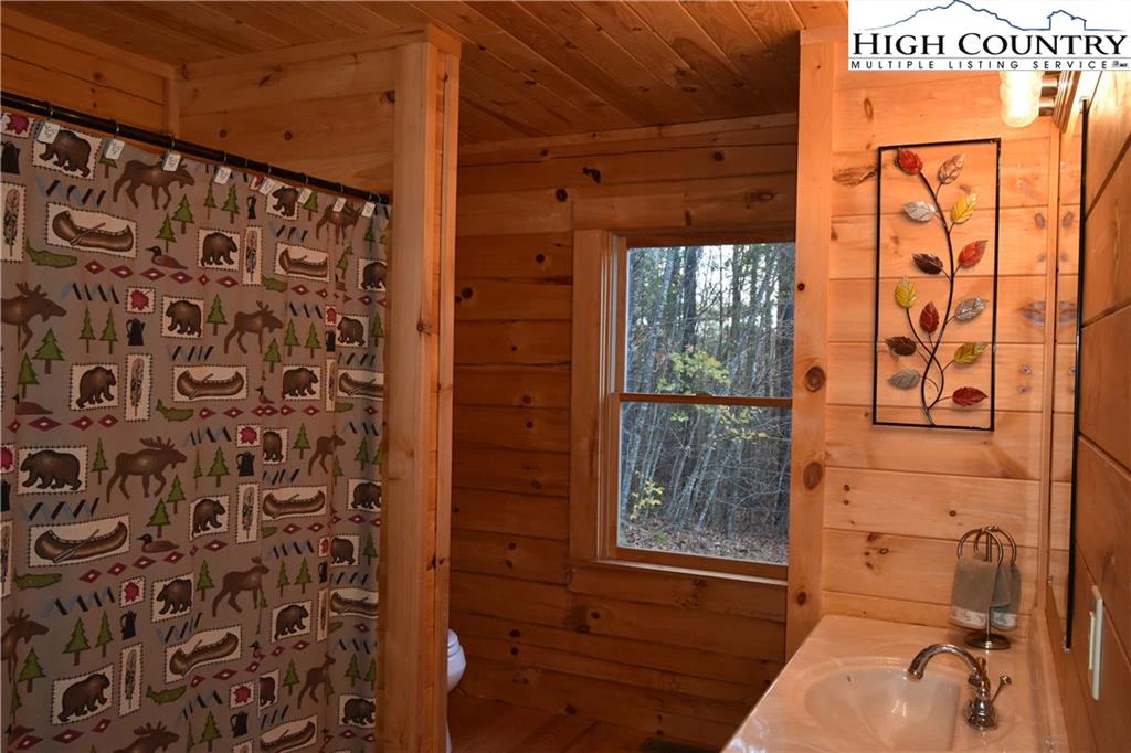 Image number 3 for the current listing