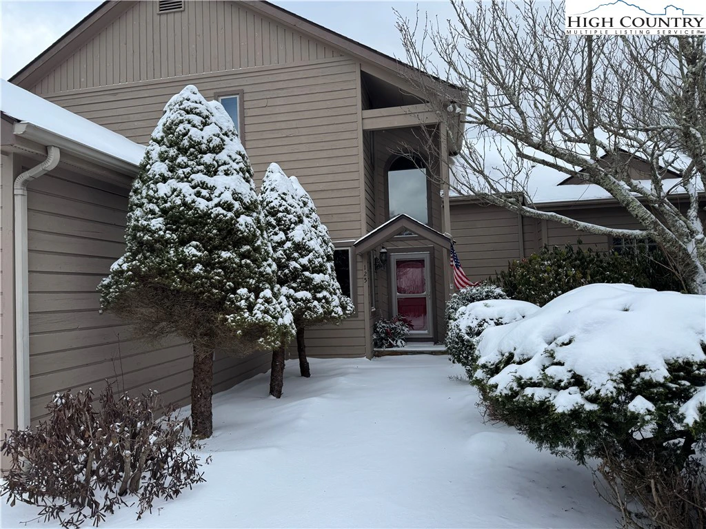 Image number 1 for the current listing