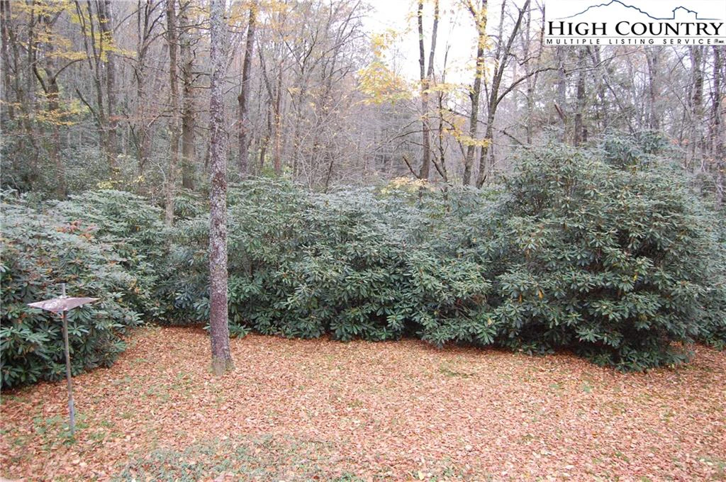Image number 4 for the current listing