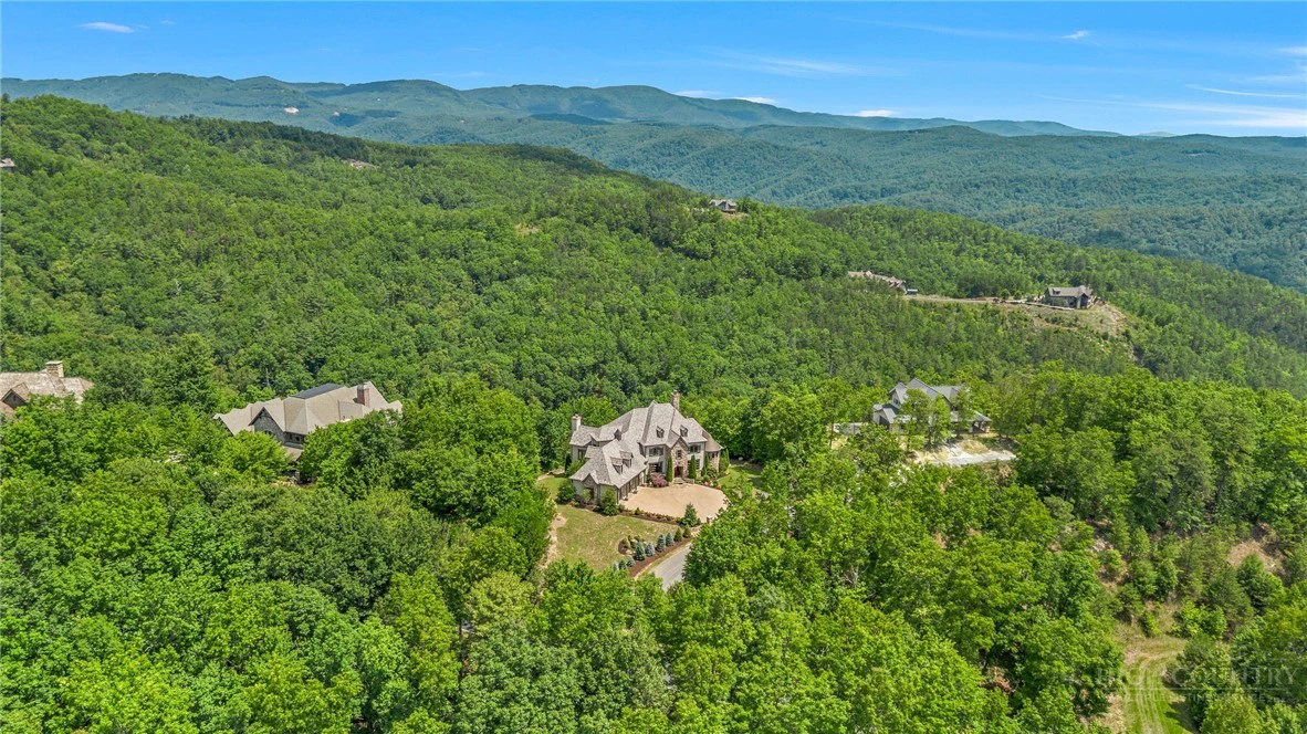 Image number 8 for the current listing