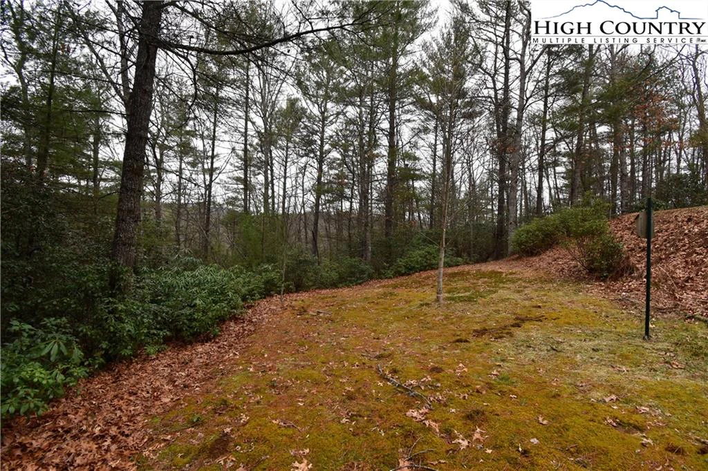 Image number 7 for the current listing