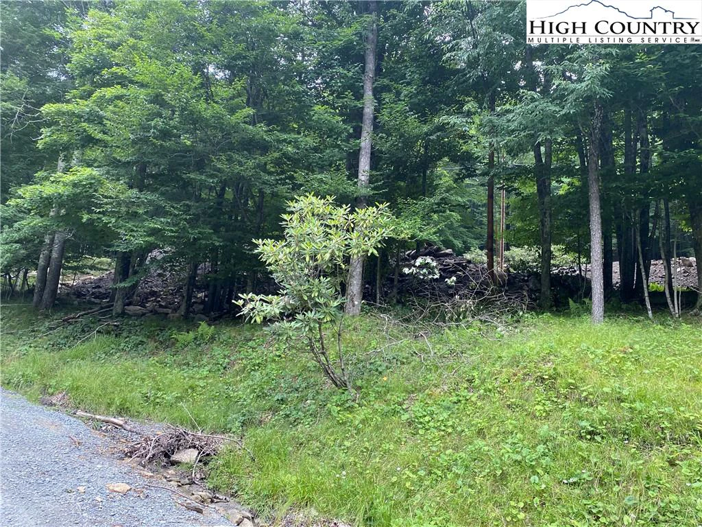 Image number 3 for the current listing