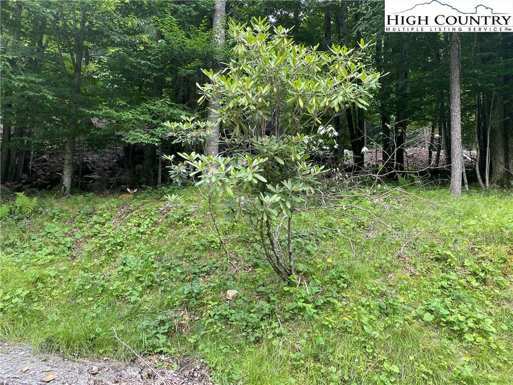 Image number 4 for the current listing