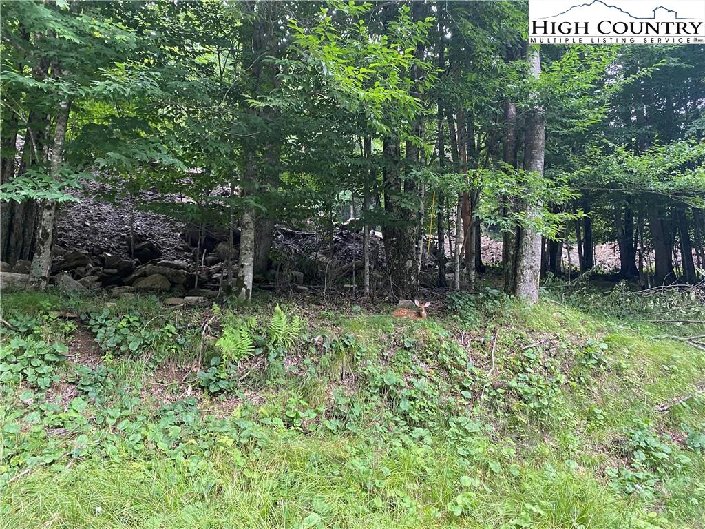 Image number 6 for the current listing