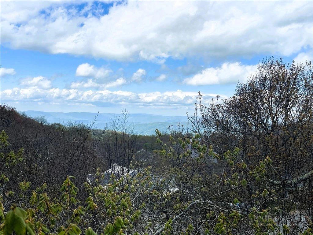 Image number 5 for the current listing