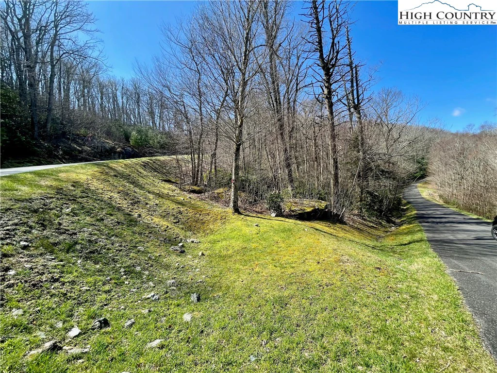Image number 1 for the current listing