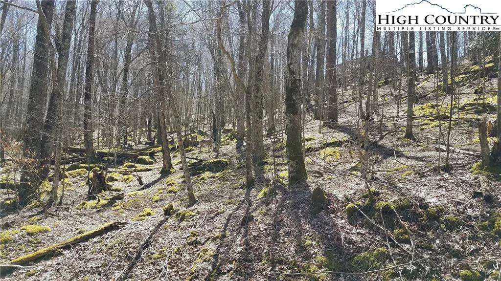 Image number 6 for the current listing