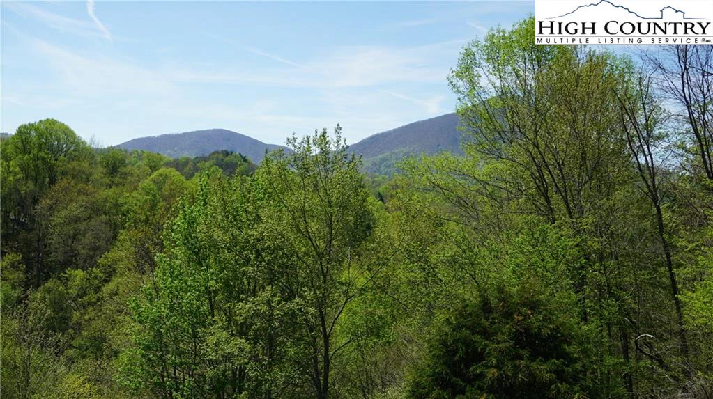 Image number 14 for the current listing