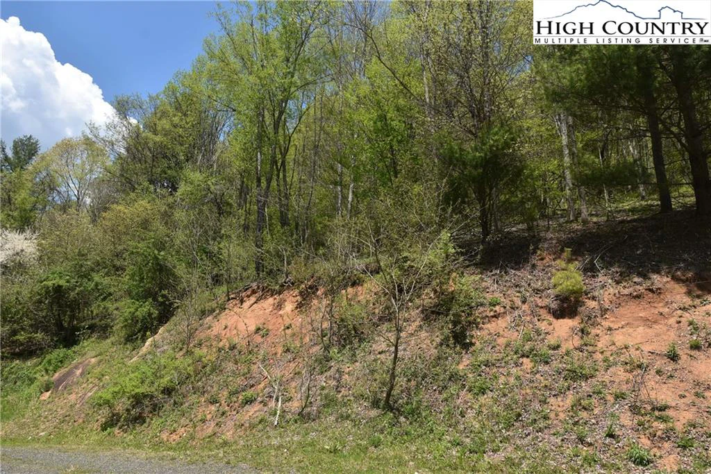 Image number 3 for the current listing