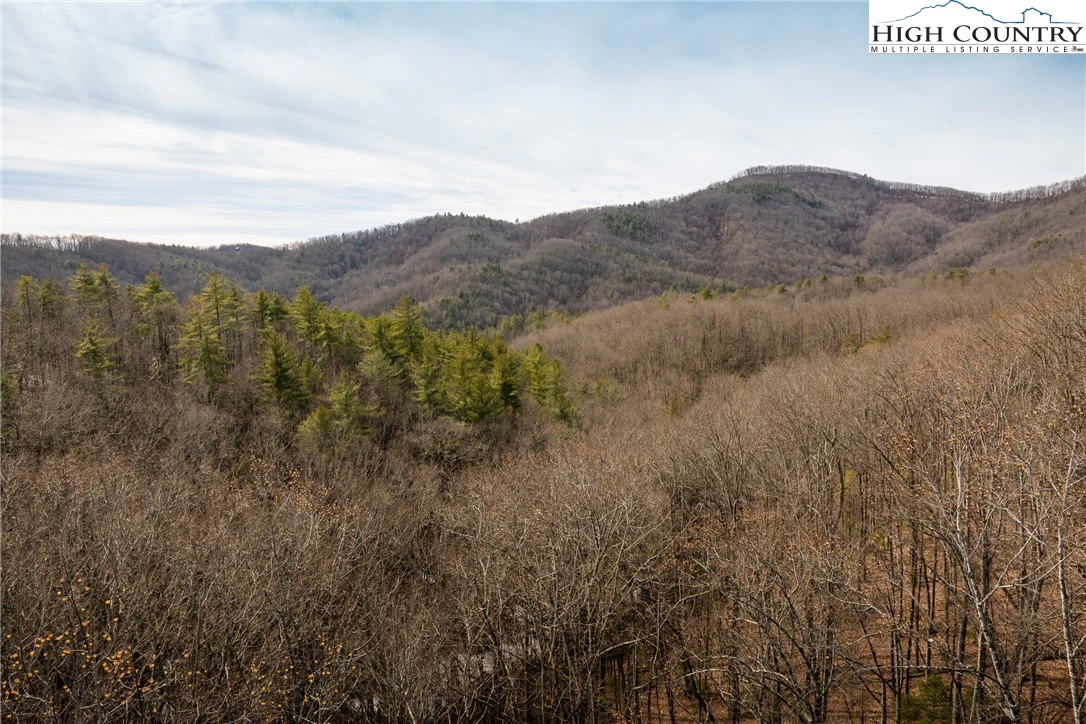 Image number 1 for the current listing