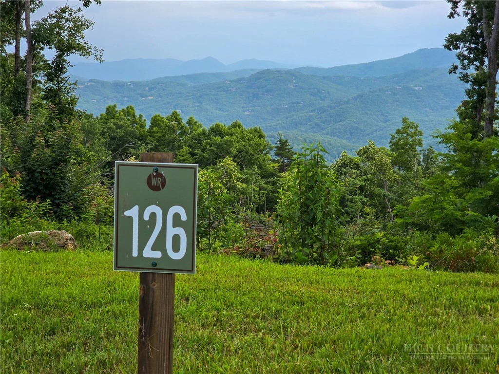 Image number 1 for the current listing