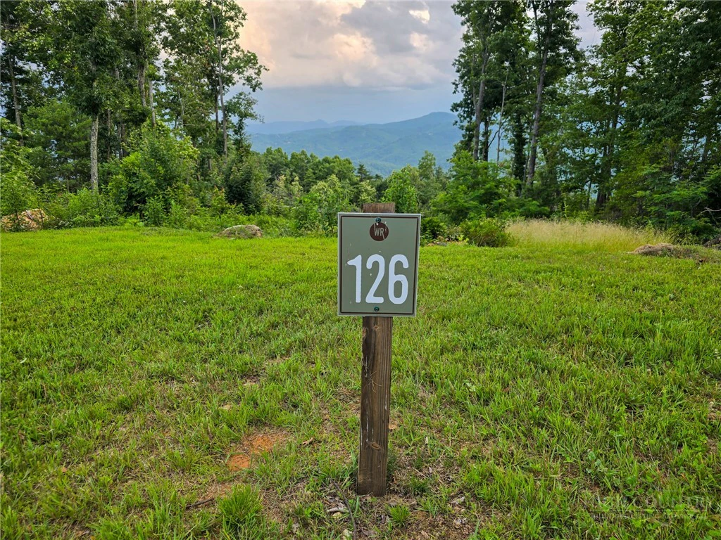Image number 4 for the current listing