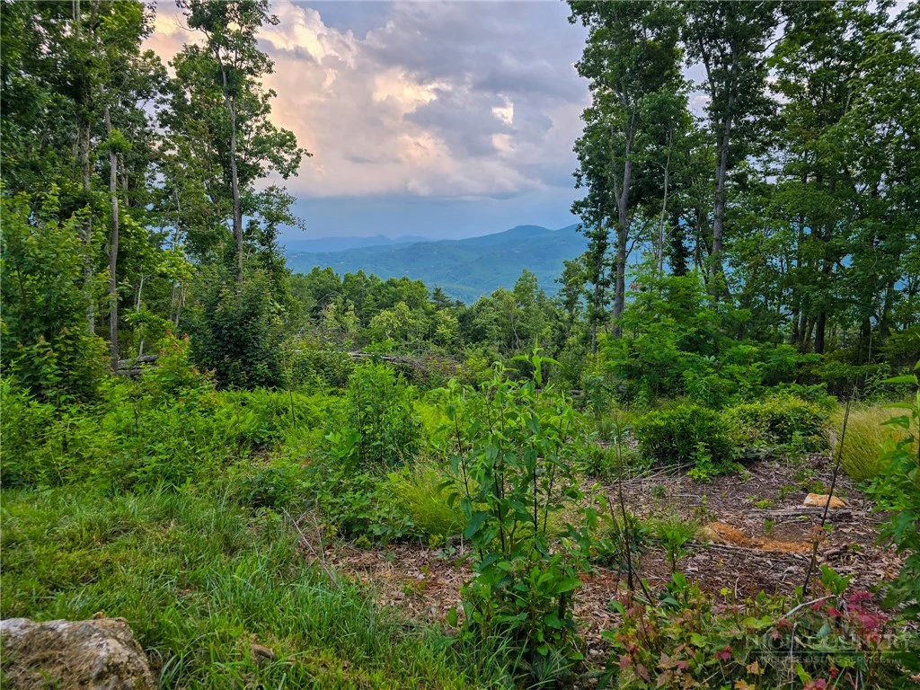 Image number 5 for the current listing