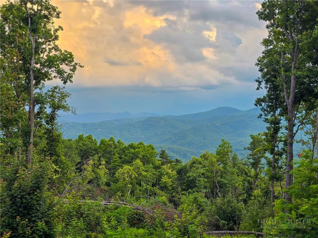 Image number 6 for the current listing
