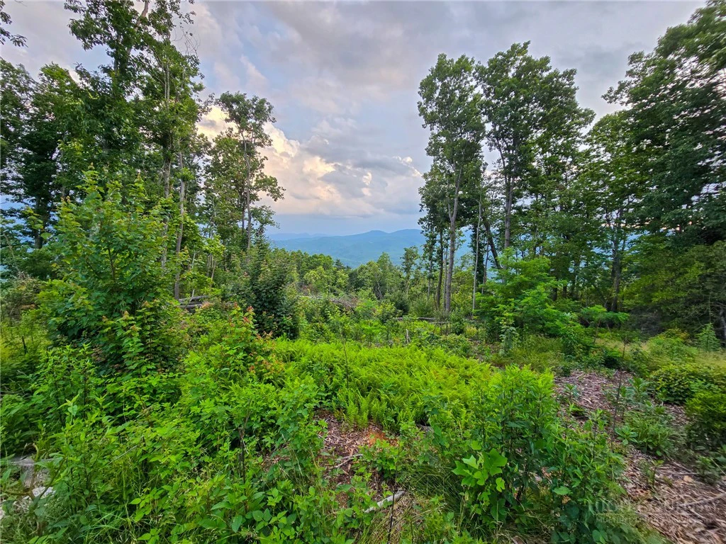 Image number 8 for the current listing