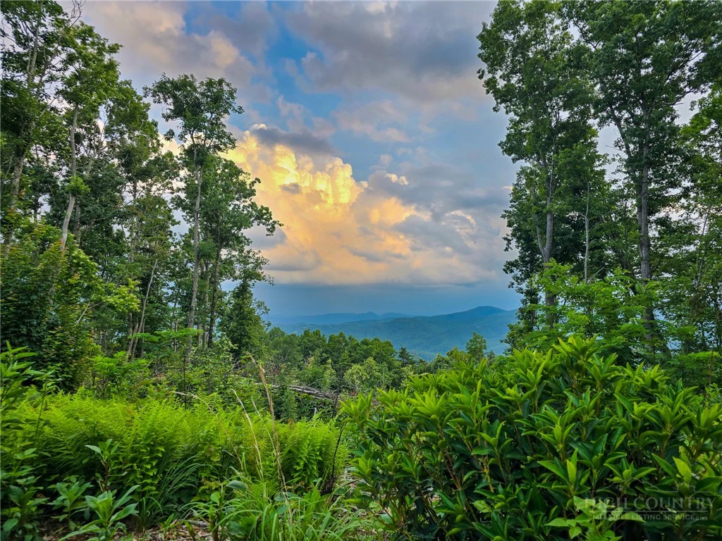Image number 13 for the current listing