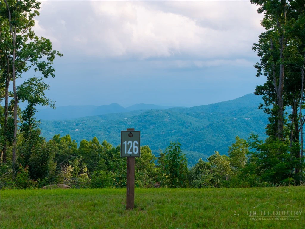 Image number 14 for the current listing