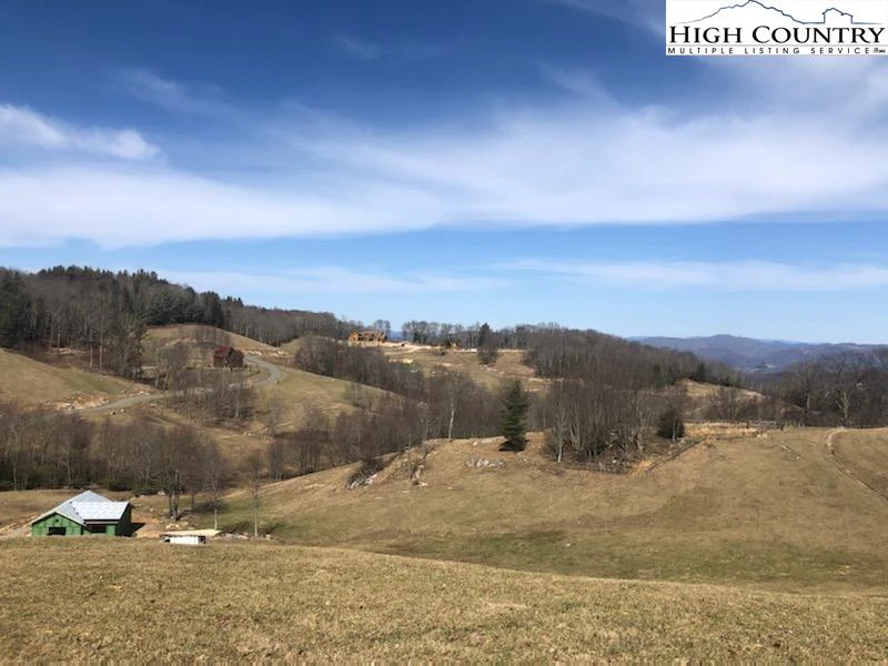 Image number 1 for the current listing