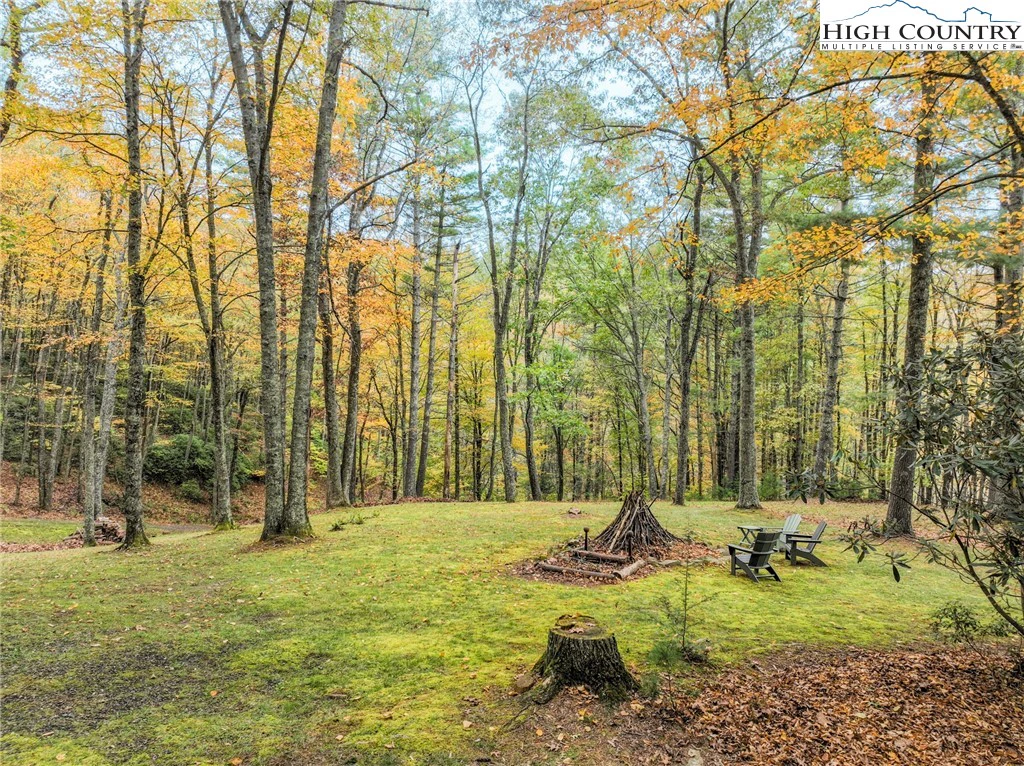 Image number 11 for the current listing
