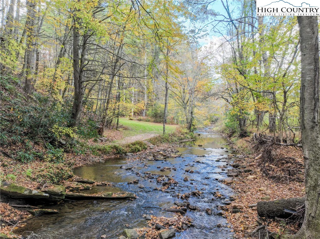 Image number 2 for the current listing