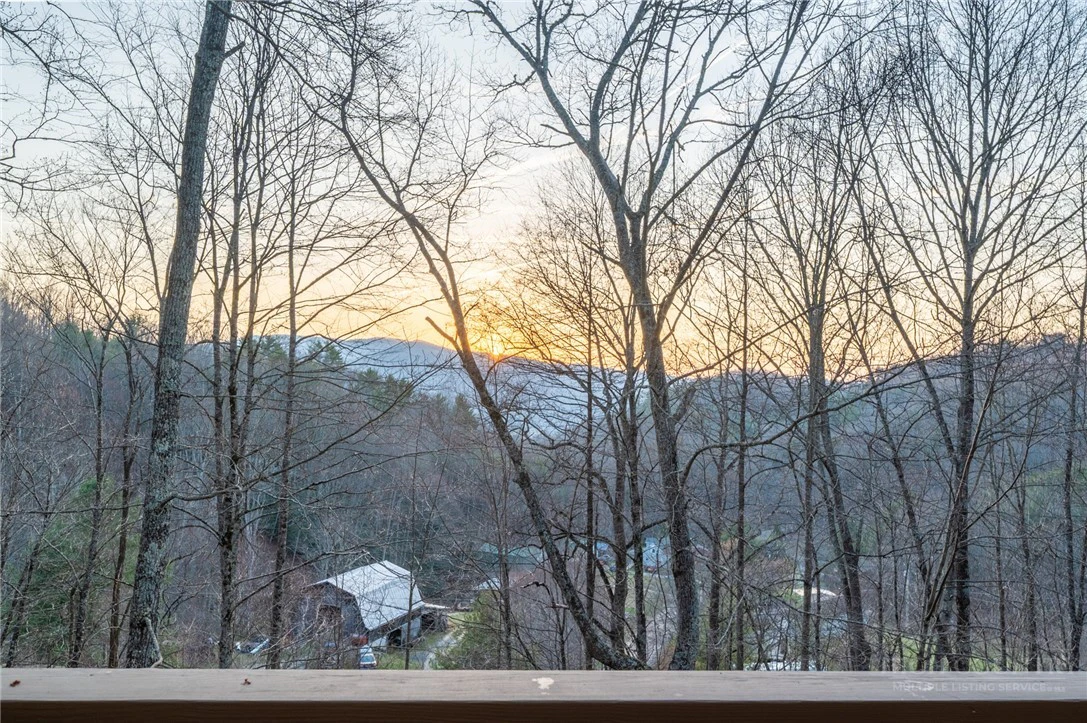 Image number 2 for the current listing