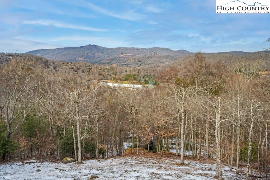 Image number 4 for the current listing