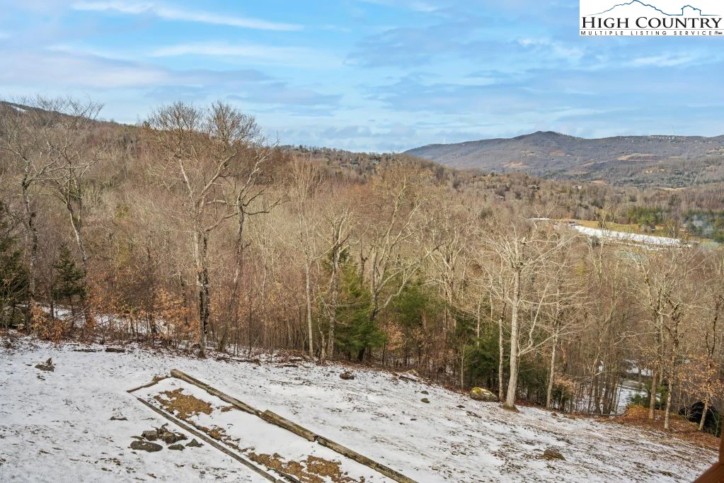 Image number 3 for the current listing
