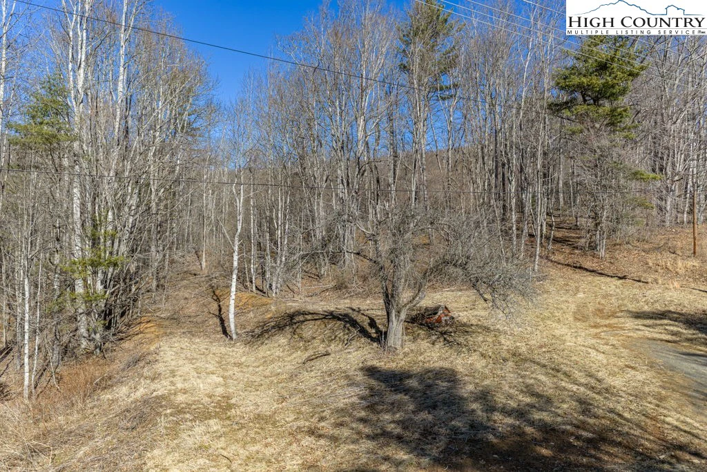 Image number 2 for the current listing
