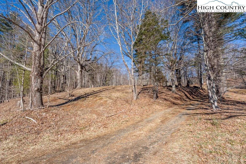 Image number 15 for the current listing