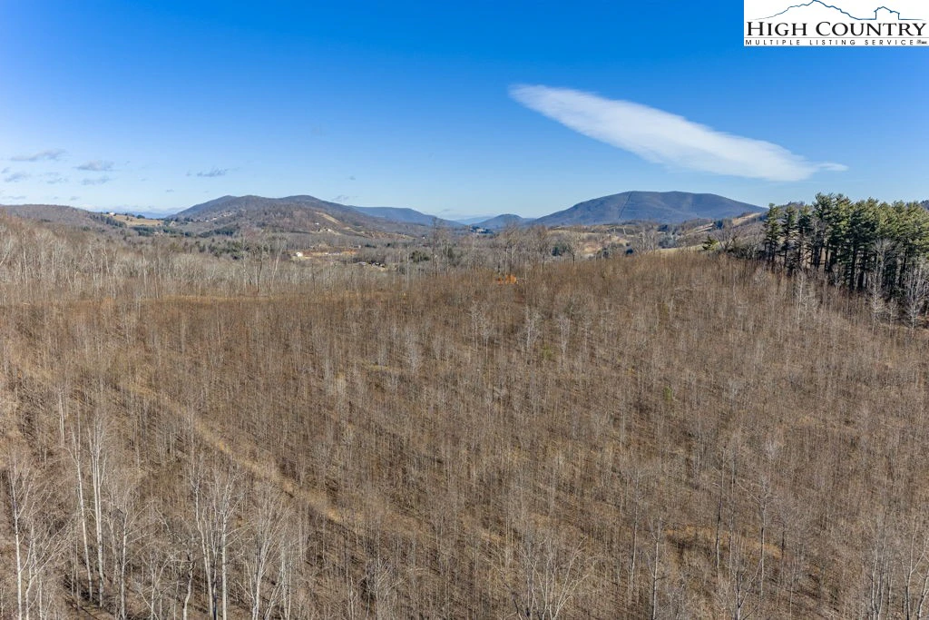 Image number 3 for the current listing