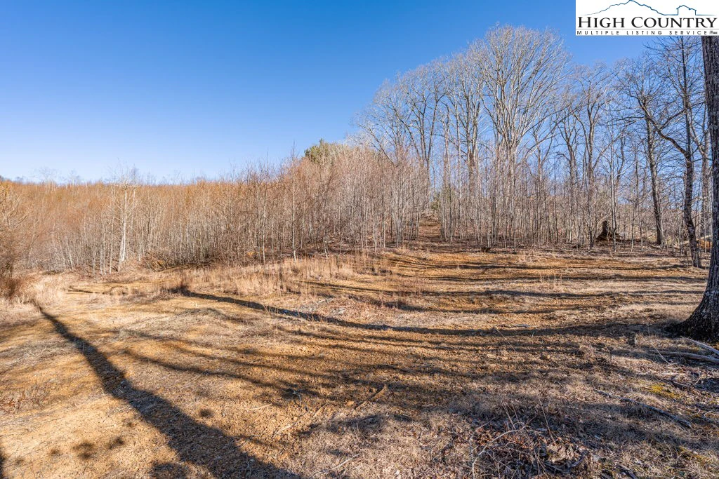 Image number 11 for the current listing
