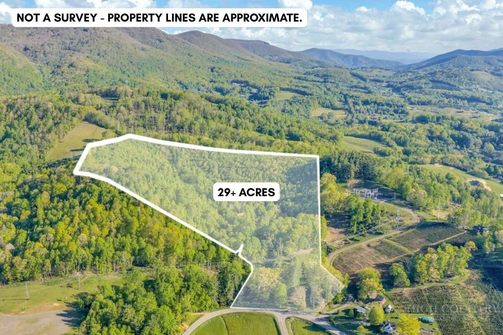 Image number 1 for the current listing