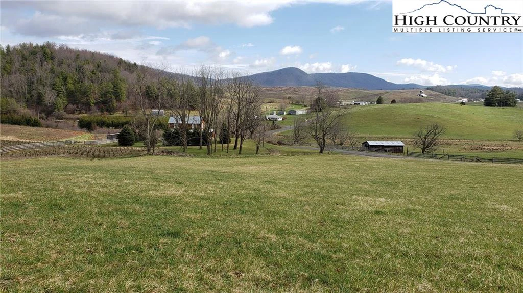 Image number 14 for the current listing
