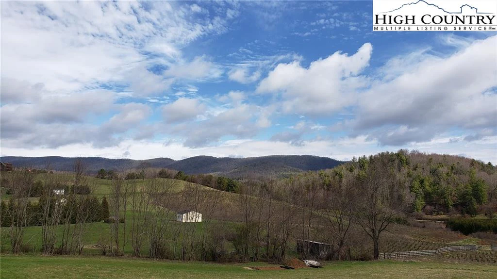 Image number 11 for the current listing